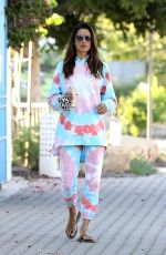 ALESSANDRA AMBROSIO Out and About in Malibu 04/26/2020