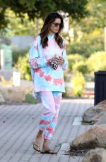 ALESSANDRA AMBROSIO Out and About in Malibu 04/26/2020