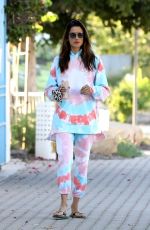 ALESSANDRA AMBROSIO Out and About in Malibu 04/26/2020