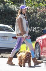 ALESSANDRA AMBROSIO Out with Her Dog in Los Angeles 04/12/2020