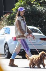 ALESSANDRA AMBROSIO Out with Her Dog in Los Angeles 04/12/2020