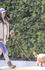 ALESSANDRA AMBROSIO Out with Her Dog in Los Angeles 04/12/2020