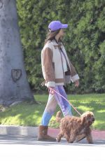 ALESSANDRA AMBROSIO Out with Her Dog in Los Angeles 04/12/2020