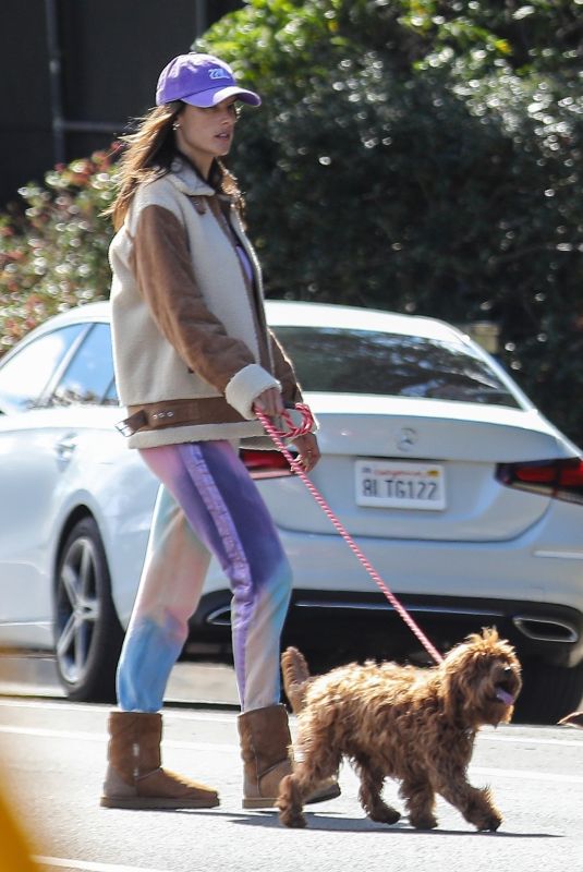 ALESSANDRA AMBROSIO Out with Her Dog in Los Angeles 04/12/2020