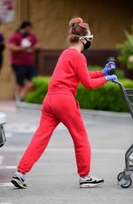 ALESSANDRA TORRESANI Wearin Mask and Gloves Out Shopping in Los Angeles 04/20/2020