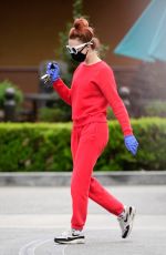 ALESSANDRA TORRESANI Wearin Mask and Gloves Out Shopping in Los Angeles 04/20/2020