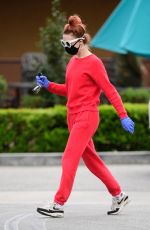 ALESSANDRA TORRESANI Wearin Mask and Gloves Out Shopping in Los Angeles 04/20/2020