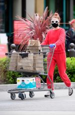 ALESSANDRA TORRESANI Wearin Mask and Gloves Out Shopping in Los Angeles 04/20/2020