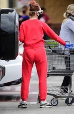 ALESSANDRA TORRESANI Wearin Mask and Gloves Out Shopping in Los Angeles 04/20/2020