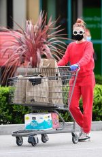 ALESSANDRA TORRESANI Wearin Mask and Gloves Out Shopping in Los Angeles 04/20/2020