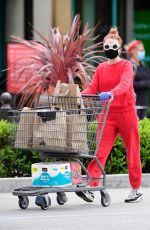 ALESSANDRA TORRESANI Wearin Mask and Gloves Out Shopping in Los Angeles 04/20/2020