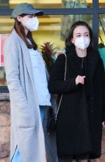 ALEXANDRA DADDARIO Wearing Face Mask while Shopping in Los Angeles 04/02/2020