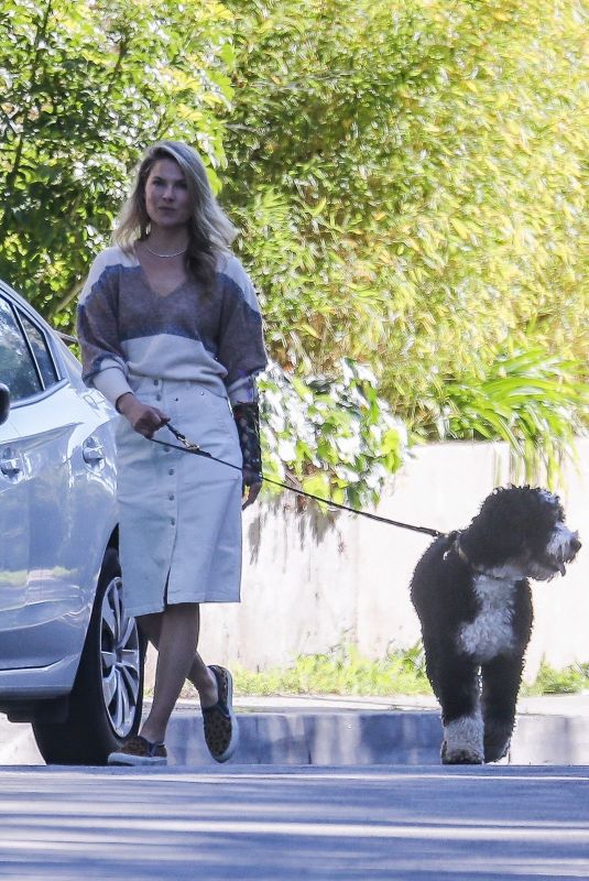 ALI LARTER Out with Her Dog in Pacific Palisades 04/17/2020