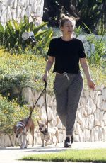 ALICIA SILVERSTON Out with Her Dogs in Los Angeles 04/28/2020