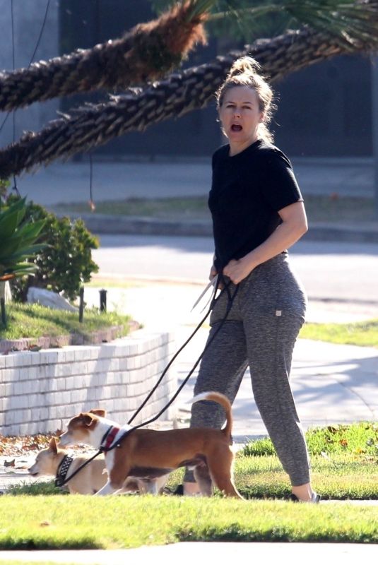 ALICIA SILVERSTON Out with Her Dogs in Los Angeles 04/28/2020