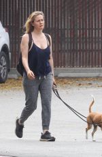 ALICIA SILVERSTONE Out with Her Dogs in Hollywood 04/29/2020