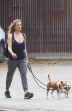 ALICIA SILVERSTONE Out with Her Dogs in Hollywood 04/29/2020