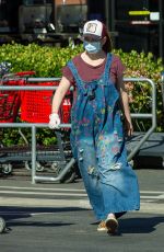 ALYSON HANNIGAN and Alexis Denisof Out Shopping in Los Angeles 04/23/2020