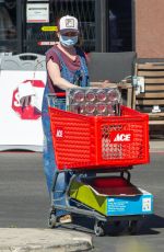 ALYSON HANNIGAN and Alexis Denisof Out Shopping in Los Angeles 04/23/2020