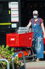 ALYSON HANNIGAN Wearing Mask at Ace Hardware Store in Los Angeles 04/03/2020