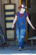ALYSON HANNIGAN Wearing Mask at Ace Hardware Store in Los Angeles 04/03/2020