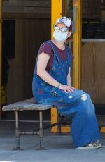 ALYSON HANNIGAN Wearing Mask at Ace Hardware Store in Los Angeles 04/03/2020