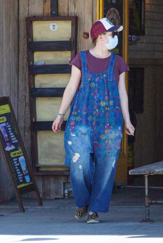 ALYSON HANNIGAN Wearing Mask at Ace Hardware Store in Los Angeles 04/03/2020