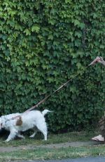 AMY BRENNEMAN Wearing Mask Out with Her Dog in Beverly Hills 04/29/2020
