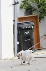 AMY BRENNEMAN Wearing Mask Out with Her Dog in Beverly Hills 04/29/2020