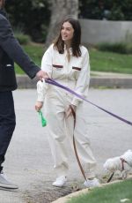 ANA DE ARMAS and Ben Affleck Out with Their Dog in Pacific Palisades 04/12/2020