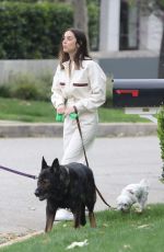ANA DE ARMAS and Ben Affleck Out with Their Dog in Pacific Palisades 04/12/2020