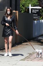 ANA DE ARMAS and Ben Affleck Out with Their Dog in Venice Beach 04/16/2020