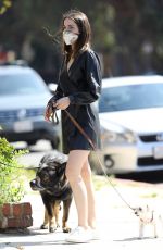 ANA DE ARMAS and Ben Affleck Out with Their Dog in Venice Beach 04/16/2020