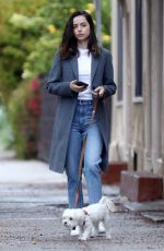 ANA DE ARMAS Out with Her Dog in Los Angeles 04/11/2020