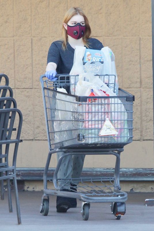 ARIEL WINTER Out Shopping in Los Angeles 04/26/2020