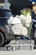 ARIEL WINTER Wearing a Face Mask at Gelson