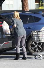 ARIEL WINTER Wearing a Face Mask at Gelson