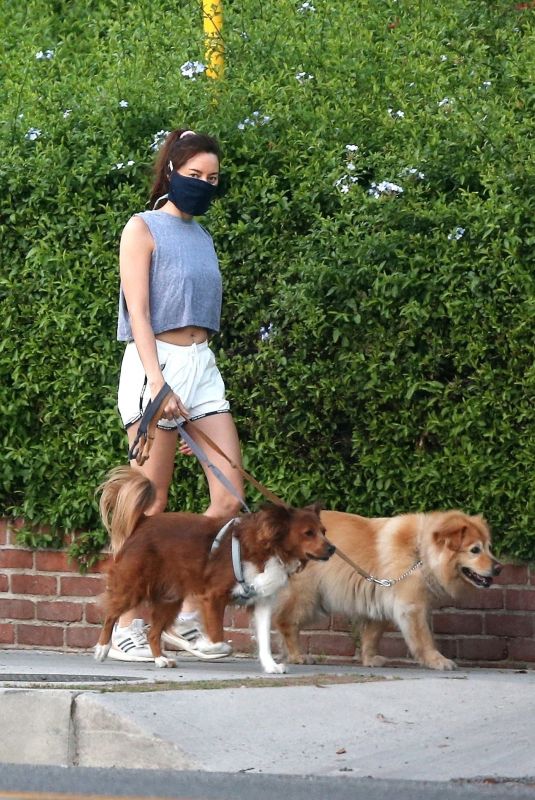 AUBREY PLAZA Out with Her Dogs in Los Angeles 04/27/2020