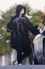 BILLIE EILISH Out with Her Dog in Los Angeles 04/22/2020