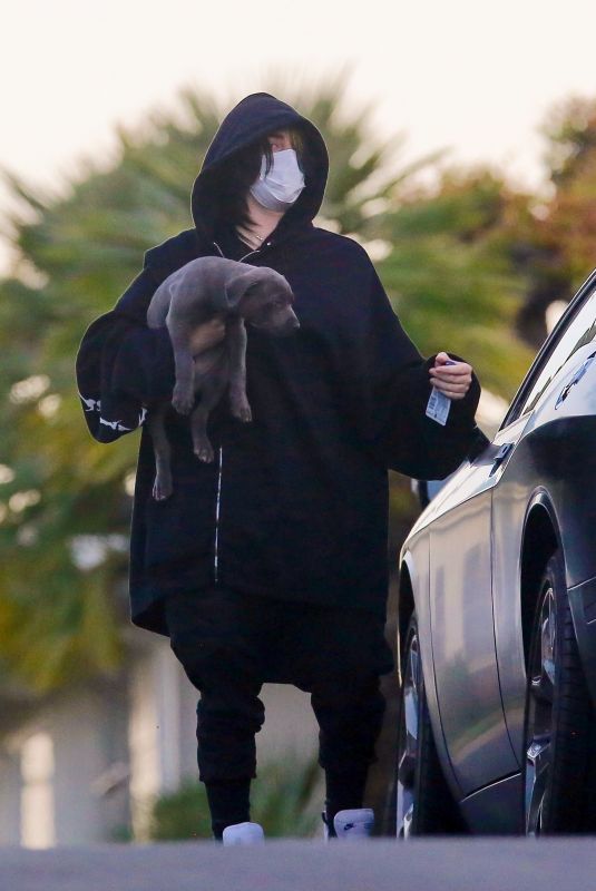 BILLIE EILISH Out with Her Dog in Los Angeles 04/22/2020