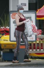 BRANDI GLANVILLE Wearing MAsk Out Shopping in Los Angeles 04/13/2020