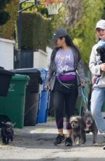 CALISTA FLOCKHART Out with Her Dogs in Los Angeles 04/03/2020