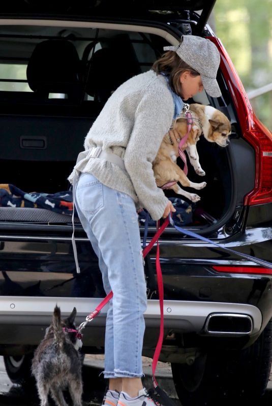 CALISTA FLOCKHART Out with Her Dogs in Los Angeles 04/03/2020