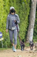 CALISTA FLOCKHART Out with Her Dogs in Los Angeles 04/17/2020