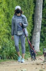 CALISTA FLOCKHART Out with Her Dogs in Los Angeles 04/17/2020