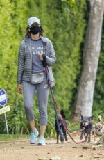 CALISTA FLOCKHART Out with Her Dogs in Los Angeles 04/17/2020