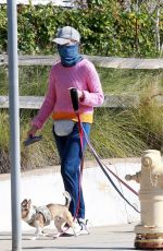 CALISTA FLOCKHART Wearing Bandana Mask Out with Her Dogs in Los Angeles 04/13/2020