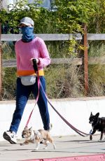 CALISTA FLOCKHART Wearing Bandana Mask Out with Her Dogs in Los Angeles 04/13/2020