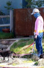 CALISTA FLOCKHART Wearing Bandana Mask Out with Her Dogs in Los Angeles 04/13/2020