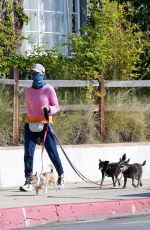CALISTA FLOCKHART Wearing Bandana Mask Out with Her Dogs in Los Angeles 04/13/2020